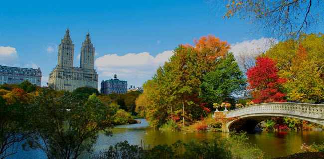 Manhattan, New York, Mỹ: Bên cạnh những ngôi nhà chọc trời, công viên Trung tâm là điểm đến hấp dẫn tại Manhattan, đặc biệt vào mùa thu.