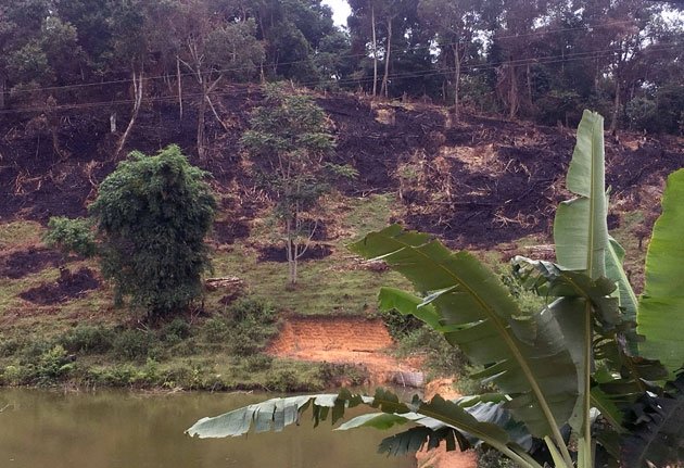 Diện tích rừng bị chặt phá tại khoảnh 4, tiểu khu 717b.