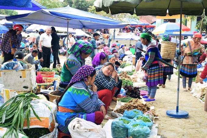 Người dân ở nhiều xã của Bắc Hà và các huyện lân cận mang đủ thứ hàng hóa, nông sản, vật dụng đến đây bán. Các loại rau củ, thảo dược, gia vị do người Mông trồng được bày bán nhiều.