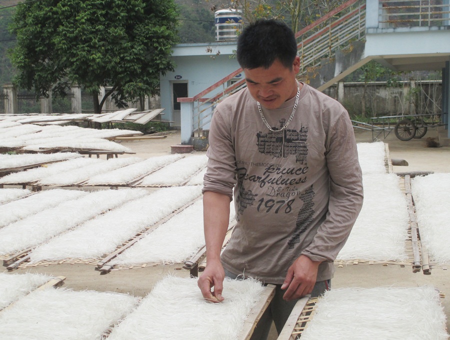 La A Nồng, Giám đốc HTX Phát triển Đình Trung, thôn Nà Ếch, xã Húc Động (Bình Liêu),  hiệu quả với  mô hình sản xuất miến dong và tạo nhiều việc làm cho ĐVTN địa bàn.