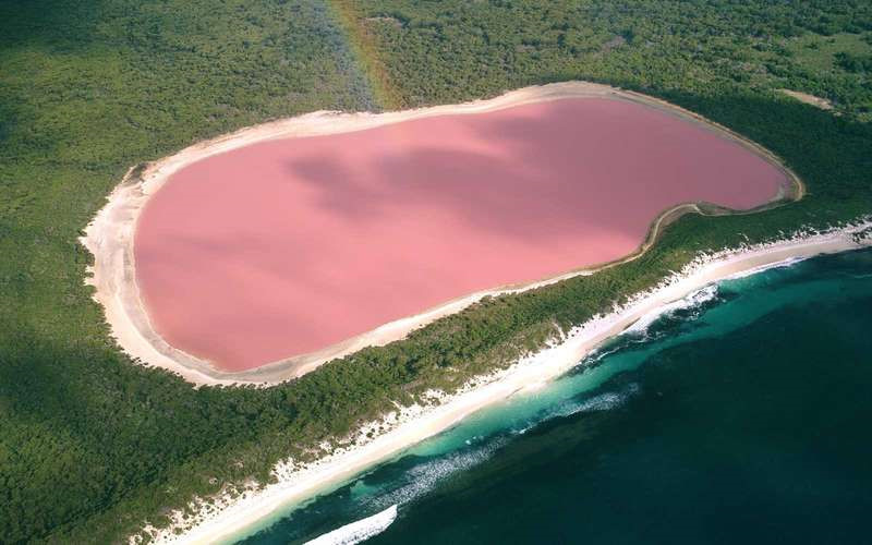 Hồ Hillier, Australia: Hồ nước có màu hồng ấn tượng nhờ hàm lượng muối cao và các sinh vật sống dưới hồ, gồm tảo và một loại vi khuẩn có tên Halobacteria. Ảnh: Getty Images/Universal Images Group.