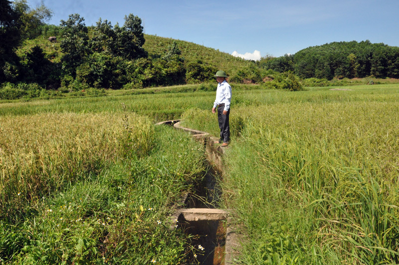Công trình kênh mương nội đồng đê Rừng xanh, thôn 7, xã Quảng Phong với tổng mức đầu tư hơn 1,1 tỷ đồng đảm bảo nước sản xuất cho hàng chục ha đất nông nghiệp của người dân.