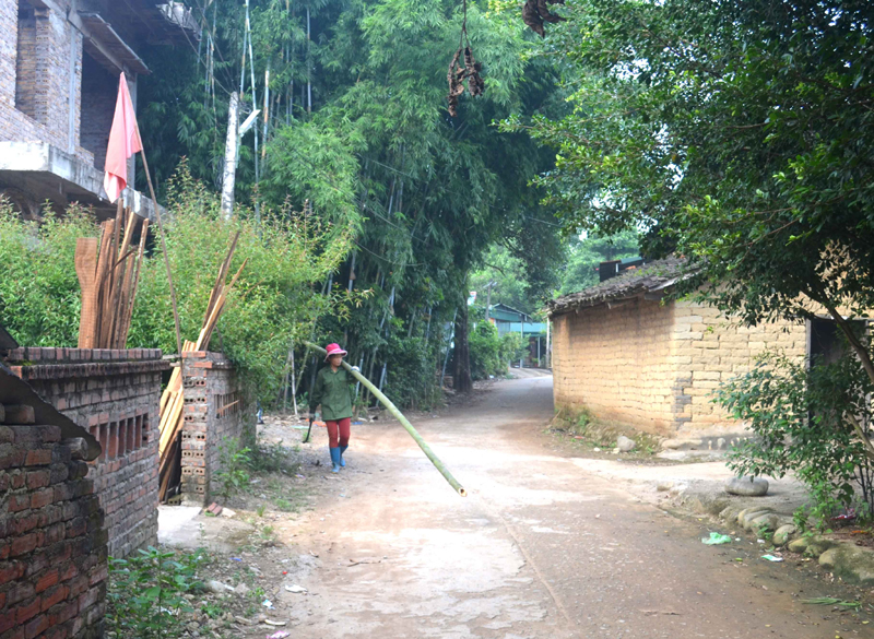Từ khi có điện chiếu sáng buổi tối, đường vào thôn Tùng Cặm, xã Vô Ngại cũng thường xuyên được vệ sinh sạch sẽ