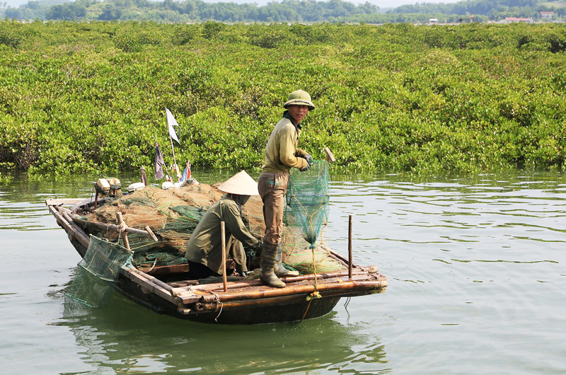 Ngư dân TX Quảng yên khai thác thủy sản bằng lồng bát quái tại khu vực ven biển xã Đồng Rui, huyện Tiên Yên