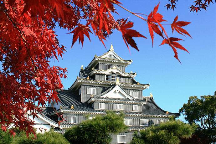 Lâu đài Okayama, Okayama: Lâu đài này được xây dựng năm 1597. Chủ sở hữu của lâu đài đã bị bắt và qua đời chỉ 3 năm sau đó mà không có người thừa kế. Tường của tòa tháp chính Tenshukaku có màu đen nên Okayama còn được gọi là 