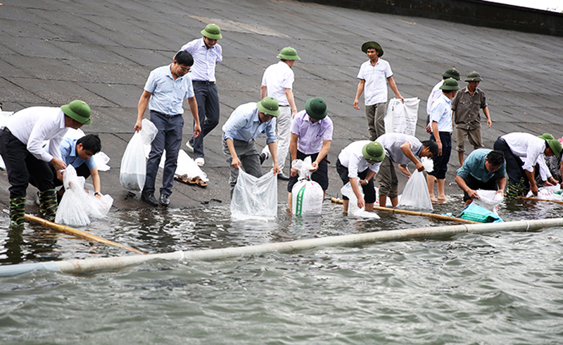 Đại diện lực lượng chức năng tỉnh Quảng Ninh thả cá tái tạo nguồn lợi thủy sản tại hồ Tràng Vinh. Ảnh Hùng Sơn