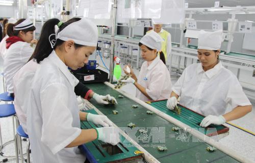 Sản xuất phụ kiện điện thoại di động tại Công ty RFTECH Thái Nguyên. Ảnh: Hoàng Nguyên/TTXVN