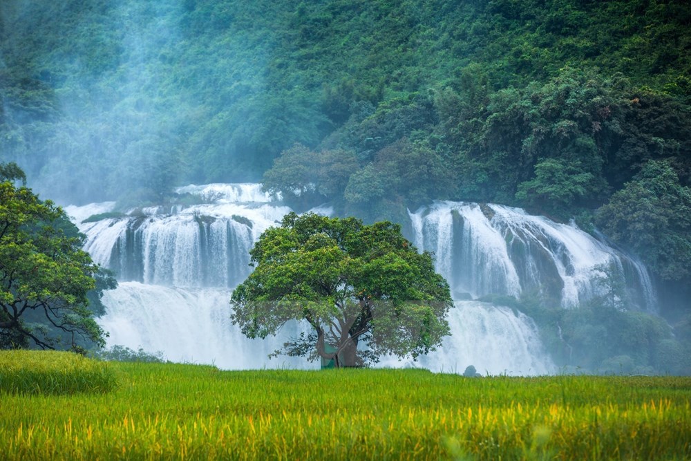 Thác Bản Giốc được xem là một trong những tặng vật vô giá mà thiên nhiên ban tặng cho Cao Bằng. Đây là thác nước cao, hùng vĩ và đẹp vào bậc nhất của Việt Nam và Đông Nam Á. (Ảnh: Trọng Đạt/TTXVN)