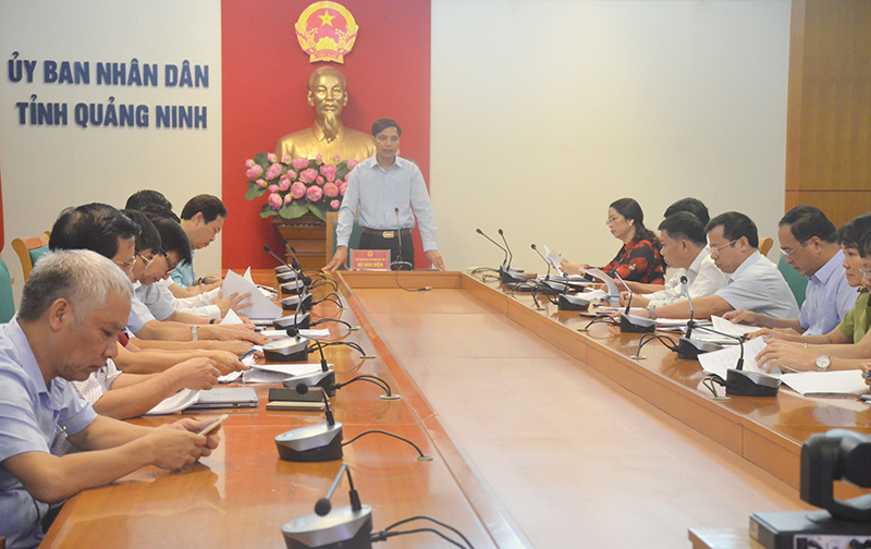 Đồng chí Vũ Văn Diện, Phó Chủ tịch UBND tỉnh phát biểu tại cuộc họp