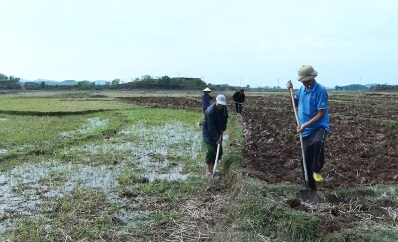Nông dân xã Đông Hải cày ải, đắp bờ phục vụ sản xuất nông nghiệp