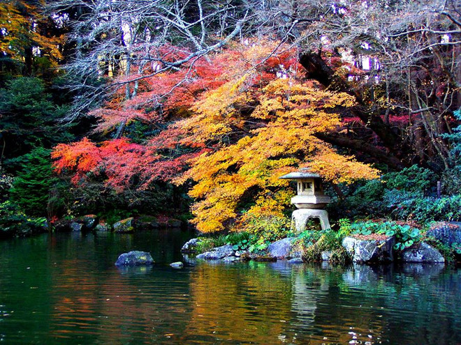 Thành phố Narita còn có công viên Naritasan rộng hơn 16 ha với thảm thực vật xanh tốt phủ kín và hồ nước tĩnh lặng. Nhiều người đến đây săn ảnh mùa lá đỏ khi Nhật Bản vào thu, cũng như thưởng thức sắc hồng lãng mạn của hoa anh đào khi tiết trời vào xuân.