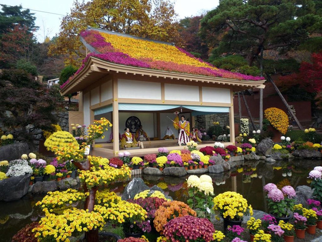 Thủ đô của đất nước mặt trời mọc còn có rất nhiều điểm tham quan, lễ hội kéo dài từ thu sang xuân. Giữa tháng 11, đền Meiji Jingu và chùa Asakusa Kannon sẽ diễn ra lễ hội Hoa cúc.