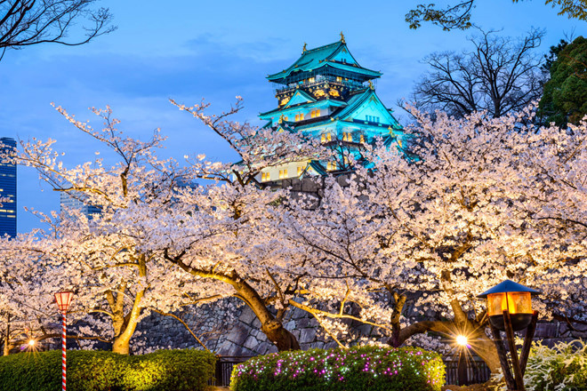 Bước sang mùa xuân, Osaka là thước phim hoành tráng của ánh sáng và hoa anh đào khoe sắc. Điểm chính nằm ở công viên Lâu đài và khu trung tâm thành phố.