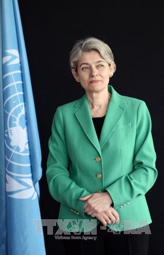 Tổng Giám đốc UNESCO Irina Bokova tại trụ sở UNESCO ở Paris, Pháp ngày 10/4/2015. Ảnh: AFP/TTXVN