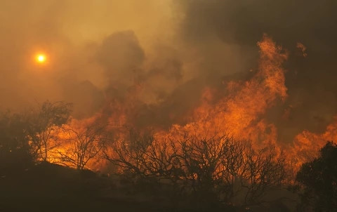 Ngọn lửa đã thiêu rụi 70.000 hec-ta rừng ở California, Mỹ. Ảnh: Reuters.