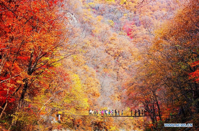 Du khách mê mải ngắm cảnh mùa thu bên trong một khu rừng lá đỏ ở thành phố Phủ Thuận, tỉnh Liêu Ninh, phía Đông Bắc Trung Quốc hôm 8/10/2017.