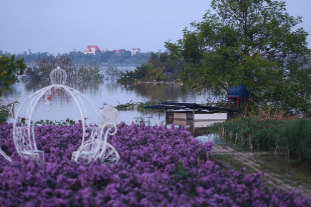 Nước lũ ngập phần lớn diện tích vườn hoa Bách Nhật (phường Nhật Tân, quận Tây Hồ).