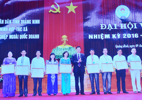 Bà Trần Thúy Tập (ngoài cùng, bên trái) nhận bằng khen của UBND tỉnh năm 2016.(Ảnh: Nhân vật cung cấp).