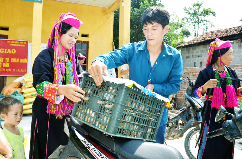 Gia đình chị Phùn Thị Hạnh, hộ dân tộc người Dao xã Hà Lâu, huyện Tiên Yên nhận hỗ trợ gà giống phát triển kinh tế