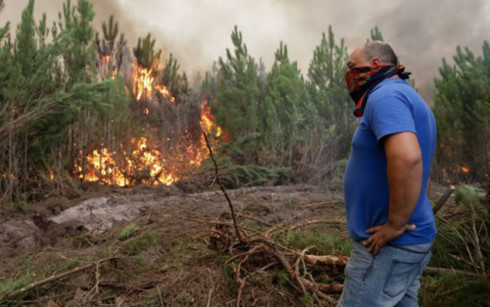 Đám cháy bùng phát chỉ 4 tháng sau vụ hỏa hoạn kinh hoàng nhất trong lịch sử Bồ Đào Nha. (Ảnh: EPA)