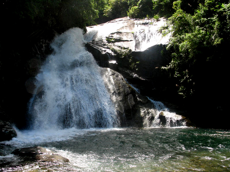 Ốc núi thường sống ở môi trường núi cao, nơi có khe nước chảy, độ ẩm cao như thác Khe Vằn (xã Húc Động, Bình Liêu).