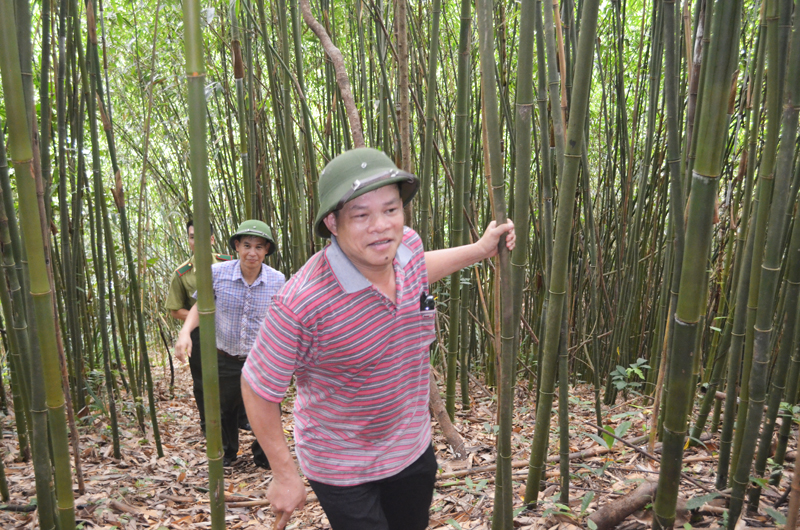 Cán bộ xã Lương Mông kiểm tra rừng đàu nguồn khu vực Khe Lao