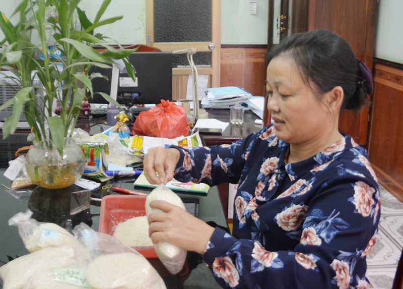 Chị Trần Thị Hồng, Phó tổng Giám đốc Công ty CP Giống cây trồng Quảng Ninh hàng ngày cẫn mẫn công việc nghiên cứu những giống lúa mới.