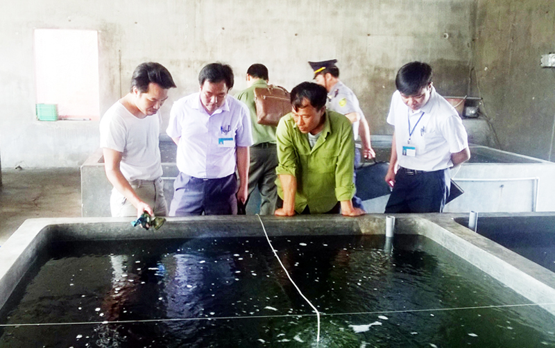 Sở NN&PTNT thanh tra, kiểm tra tại cơ sở sản xuất giống nhuyễn thể của ông Đặng Văn Doanh (tổ 9, khu Đồn Điền, phường Hà Khẩu, TP Hạ Long)