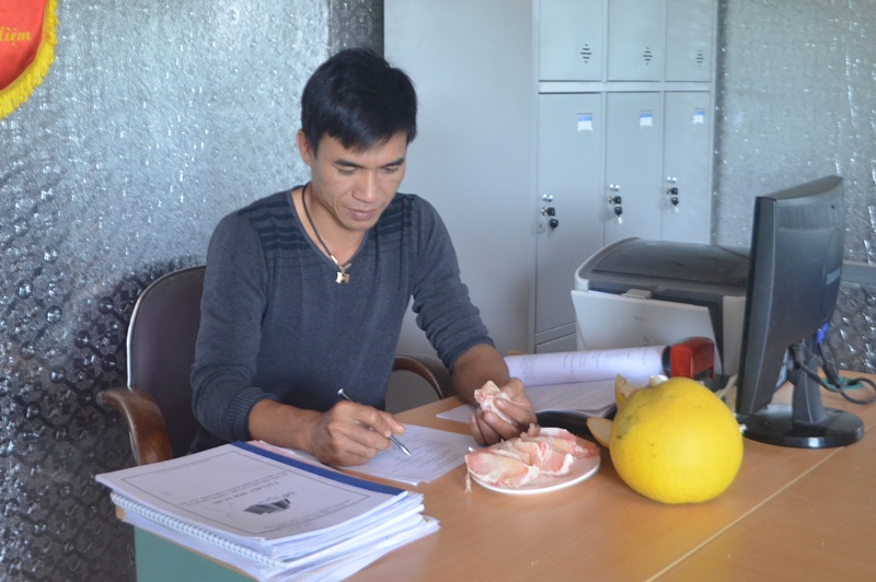 anh Đô Minh Hải, Giám đốc HTX Tứ Đại (huyện Hoành Bồ),  kiểm tra và đánh giá chất lượng quả bưởi Diễn trước khi thu hoạch. 