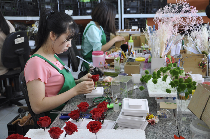 Sản xuất hoa công nghệ cao đảm bảo hoa mãi mãi giữ được màu sắc.