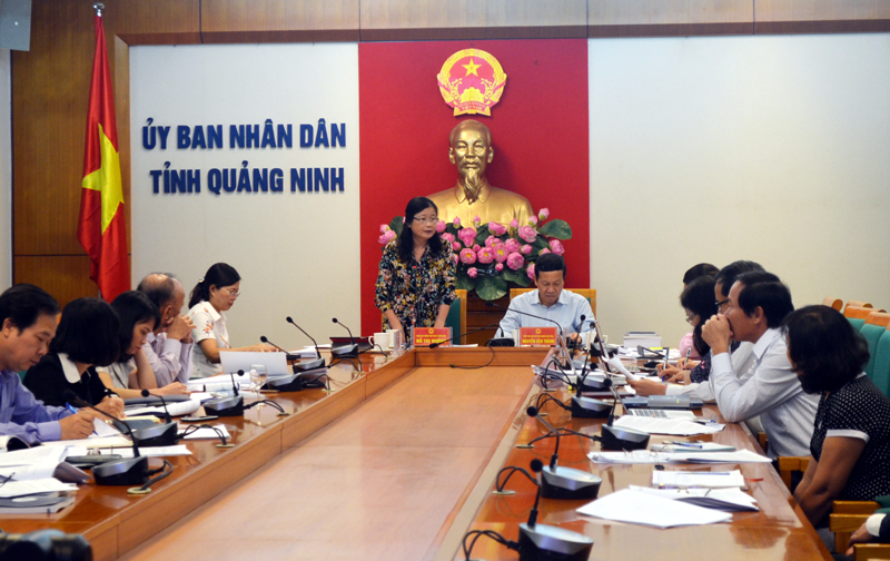 Đồng chí Đỗ Thị Hoàng, Phó Bí thư Thường trực Tỉnh ủy phát biểu tại cuộc họp