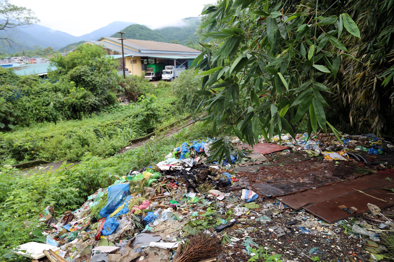 Ngay cạnh khu chợ thuộc Ban Quản lý Cửa khẩu Bắc Phong Sinh là một bãi rác bên vệ đường gây mùi hôi thối nồng nặc.
