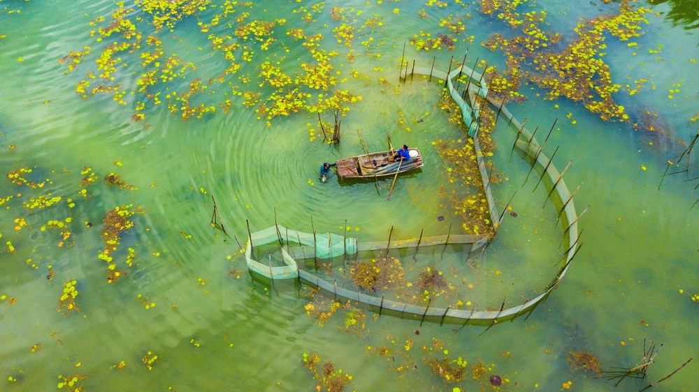 Vân Long là khu bảo tồn thiên nhiên đất ngập nước lớn nhất vùng Đồng bằng châu thổ Bắc Bộ. (Ảnh: Minh Đức/TTXVN)