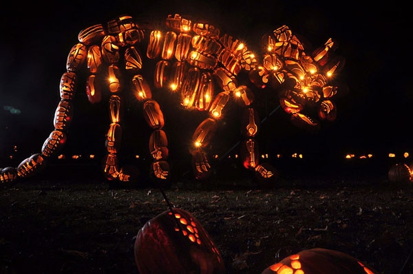Lễ hội Great Jack O’Lantern Blaze là một trong những sự kiện thú vị được trông đợi nhất ở New York, Mỹ, trong mỗi dịp Halloween. Lễ hội diễn ra hàng năm và kéo dài suốt 25 ngày với hàng nghìn quả bí ngô được khắc, tỉa đẹp mắt.