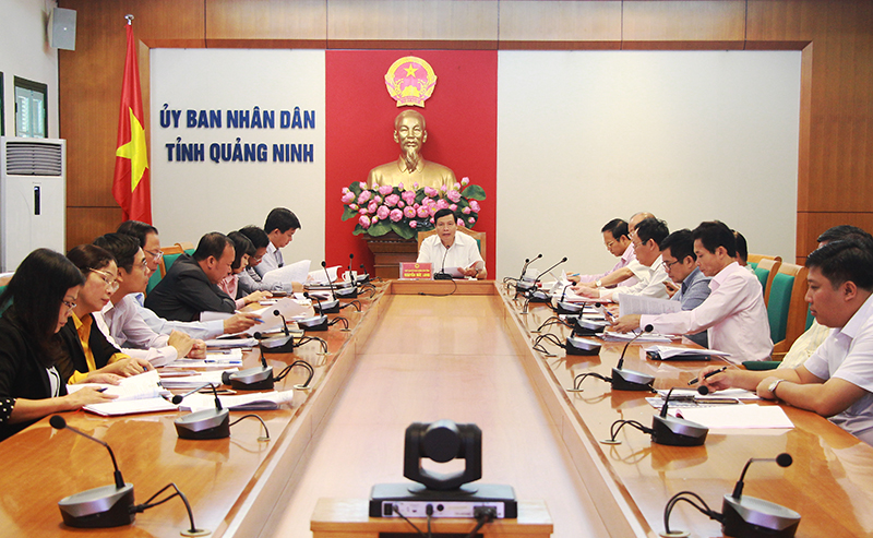 Đồng chí Nguyễn Đức Long, Chủ tịch UBND tỉnh phát biểu chỉ đạo tại cuộc họp.