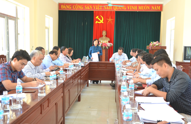 Đồng chí Vũ Thị Thu Thủy, Phó Chủ tịch UBND tỉnh kết luận buổi làm việc 