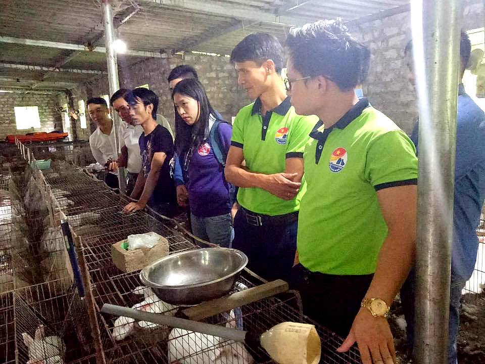 CLB Đầu tư-Khởi nghiệp Quảng Ninh tham quan mô hình chăn nuôi của doanh nghiệp trẻ Uông Bí (Ảnh: CLB Khởi nghiệp)