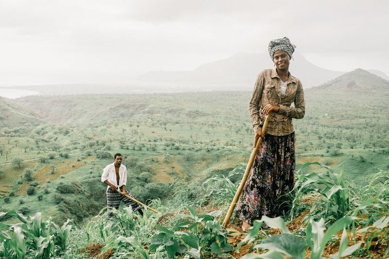 Hai nông dân làm việc trên cánh đồng ngô ở Cape Verde. (Nguồn: NatGeo)