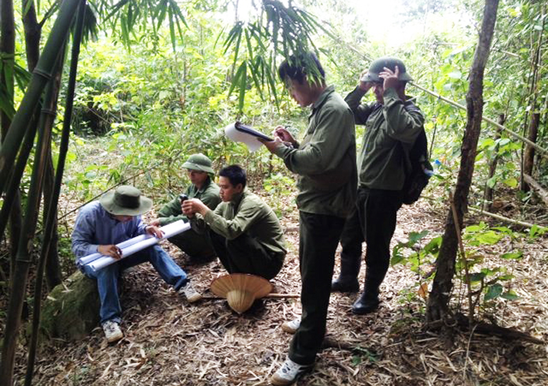 Lực lượng chức năng TP Uông Bí kiểm tra, đánh giá chất lượng rừng trên địa bàn
