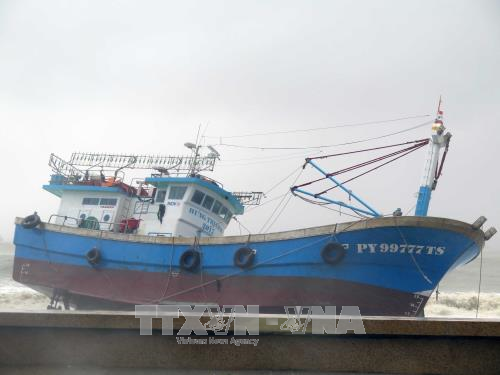 Tàu cá của ngư dân Phú Yên bị sóng đánh dạt vào bờ biển thành phố Quy Nhơn. Ảnh: TTXVN