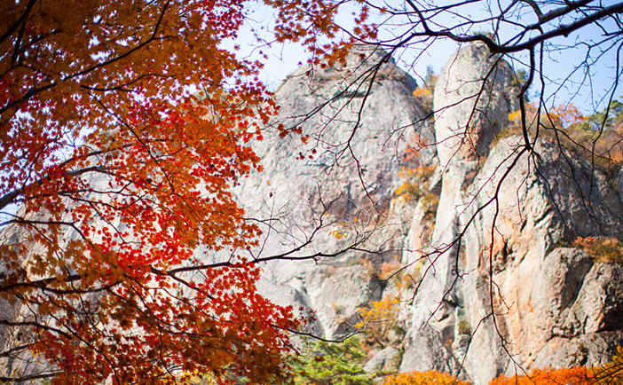 Núi Juwangsan, tỉnh Gyeongsang Bắc: Nằm trong công viên quốc gia Juwangsan, ngọn núi này nổi tiếng với những thác nước, đỉnh núi đá và thung lũng sâu. Nếu muốn đi bộ để ngắm lá cây và thác nước, bạn có thể khởi hành từ bãi đỗ xe Sangul. Khi đến đây vào lúc bình minh, du khách còn được ngắm màn sương tuyệt đẹp ở hồ Jusanji và đừng quên ghé thăm bảo tàng dân gian Cheongsong. Ảnh: Visitkorea.