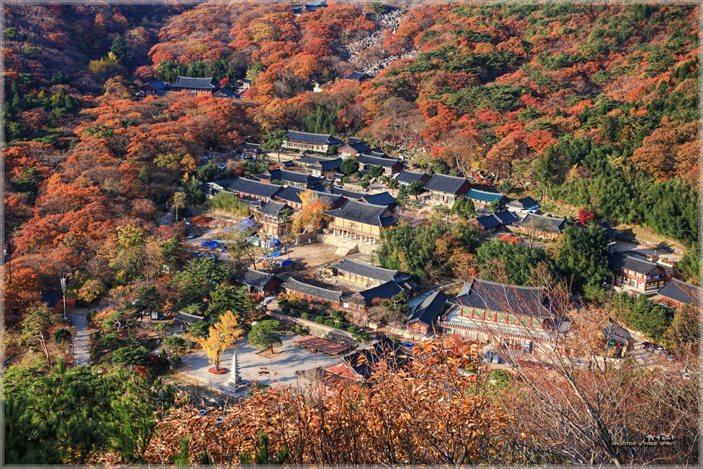Đền Beomeosa, Busan: Busan không được biết đến là nơi ngắm lá thu đẹp do nằm ở phía Nam Hàn Quốc. Tuy nhiên, đền Beomeosa trên núi Geumjeong thuộc Busan là địa điểm mà du khách có thể lựa chọn để chiêm ngưỡng khung cảnh thu ấn tượng. Ngôi đền được nhà sư Ui Sang xây dựng từ cách đây 1.300 năm. Bạn có thể đến đây bằng xe buýt và tàu điện ngầm rất dễ dàng. Ảnh: Bnbhero.