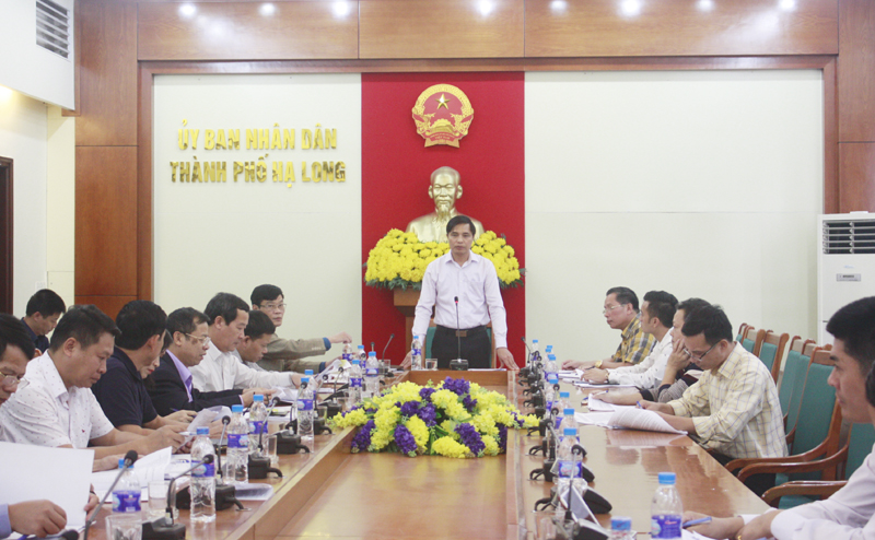 Đồngg chí Vũ Văn Diện, Phó Chủ tịch UBND tỉnh phát biểu chỉ đạo tại buổi làm việc