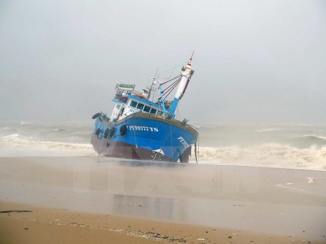 Tàu cá của ngư dân Phú Yên bị sóng đánh dạt vào bờ biển thành phố Quy Nhơn. (Ảnh: TTXVN)