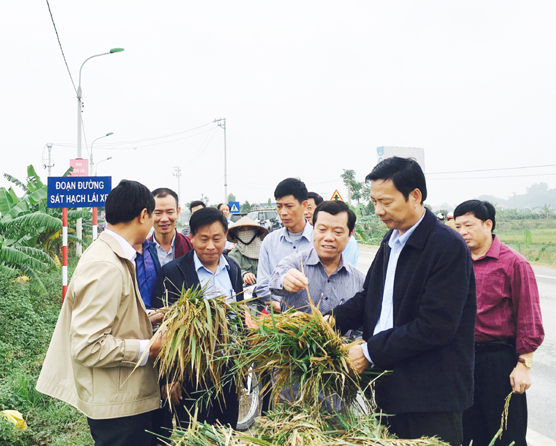 Đồng chí Bí thư Tỉnh ủy yêu cầu TX Quảng Yên nghiên cứu đề xuất giống lúa mới phù hợp với điều kiện thực tiễn của địa phương