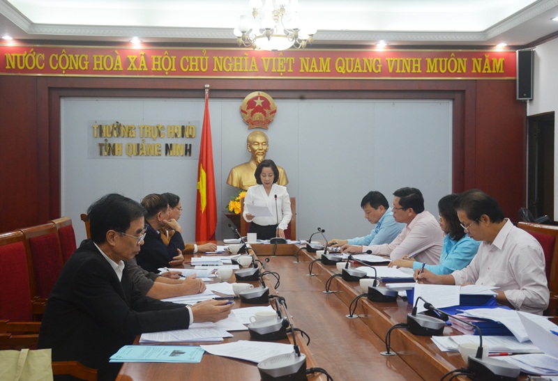 Đồng chí Vũ Thị Thu Thủy, Phó Chủ tịch UBND tỉnh phát biểu tại cuộc họp