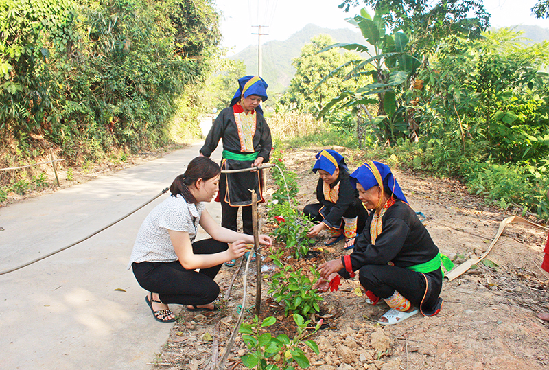 Cán bộ, hội viên phụ nữ thôn Nà Bắp, xã Đồn Đạc tham gia chăm sóc cây hoa tại tuyến đường thôn.
