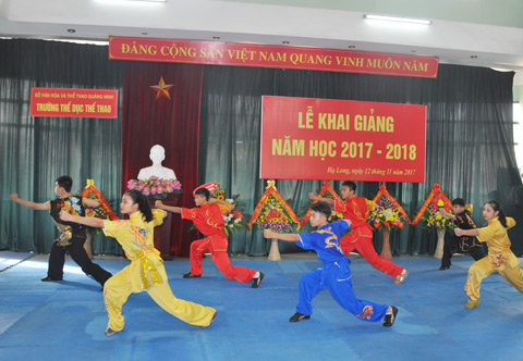 Tiết mục biểu diễn môn võ Wushu của các em học sinh 