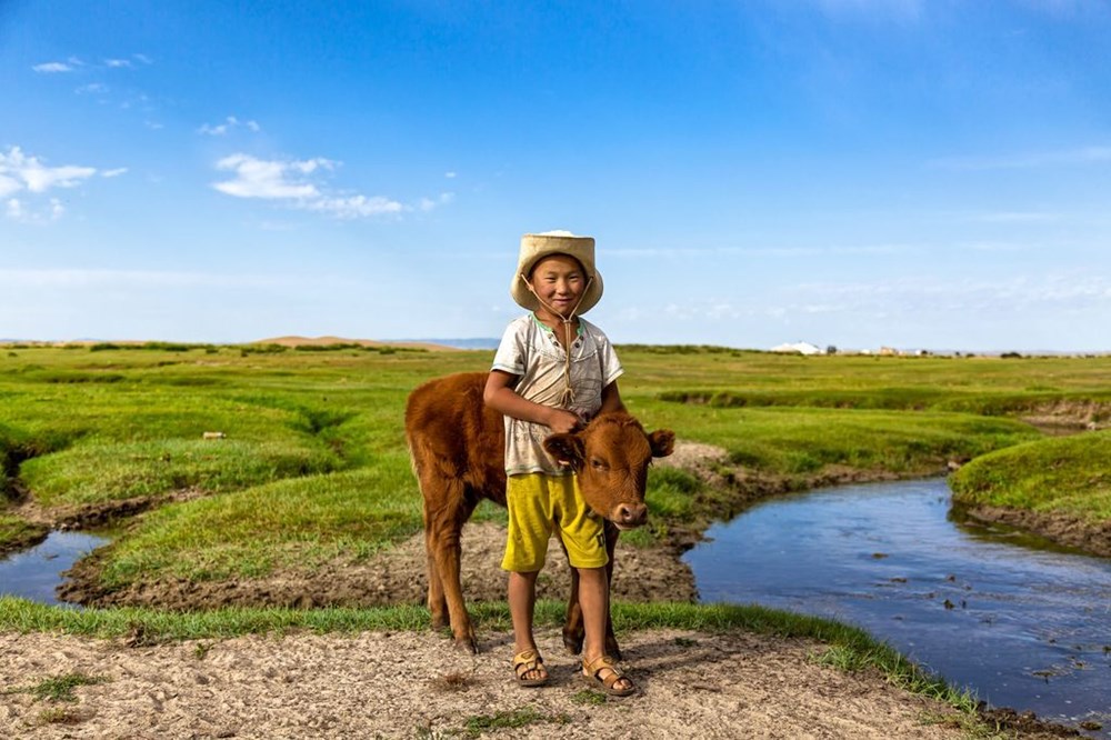 Cậu bé chăn bê ở Mông Cổ. (Nguồn: NatGeo)