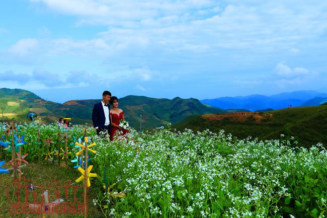Nhiều đôi bạn trẻ chụp ảnh cưới tại khu du lịch Pha Đin Pass vì nơi đây có nhiều cảnh đẹp.